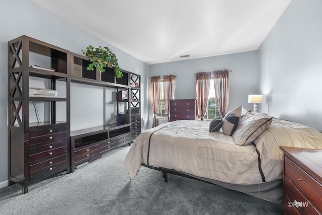 1259 W Lake St Unit 304, Addison, IL 60101 - view of carpeted bedroom
