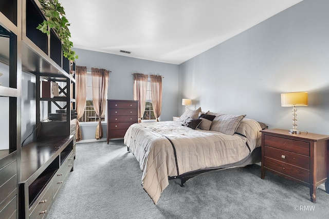 1259 W Lake St Unit 304, Addison, IL 60101 - view of carpeted bedroom