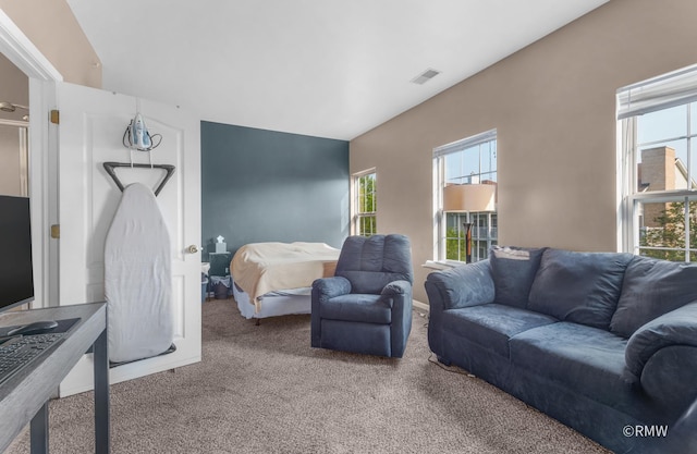 1259 W Lake St Unit 304, Addison, IL 60101 - bedroom with carpet floors