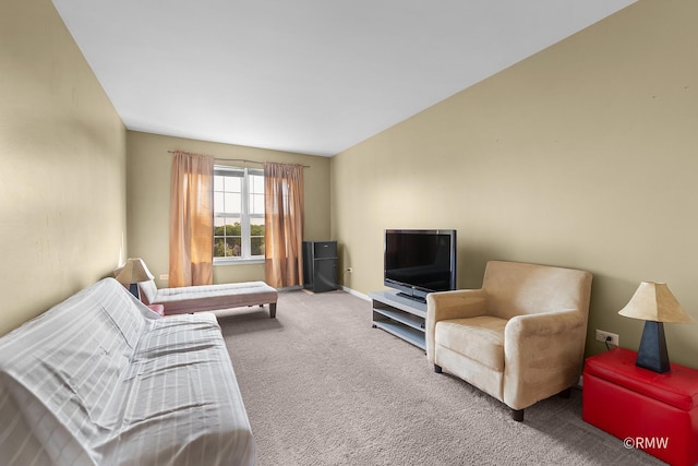 1259 W Lake St Unit 304, Addison, IL 60101 - carpeted living area with baseboards