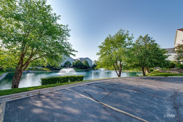 1259 W Lake St Unit 304, Addison, IL 60101 - water view