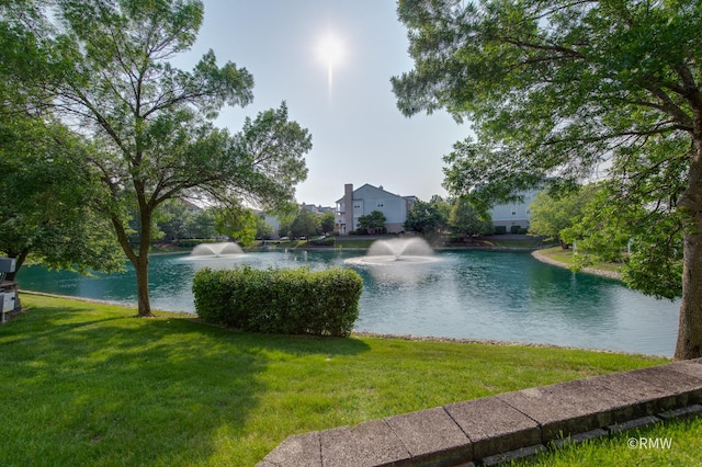 1259 W Lake St Unit 304, Addison, IL 60101 - water view