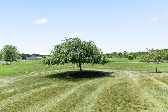 1424 Crimson Ridge Dr, Byron, IL 61010 - view of property's community featuring a lawn and a rural view