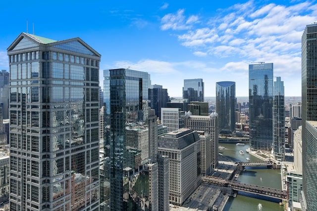 300 N State St Unit 5225, Chicago, IL 60654 - skyline view with a notable bridge and a large body of water