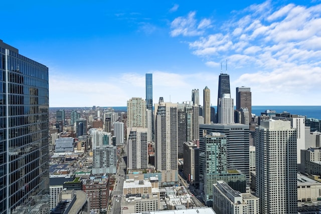 300 N State St Unit 5225, Chicago, IL 60654 - view of city skyline