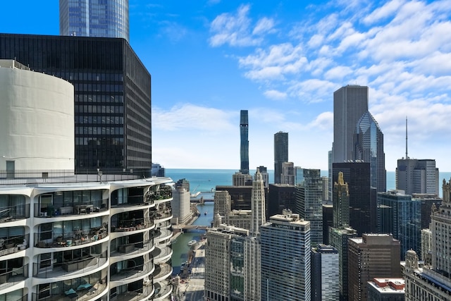 300 N State St Unit 5225, Chicago, IL 60654 - view of city skyline featuring a nearby body of water