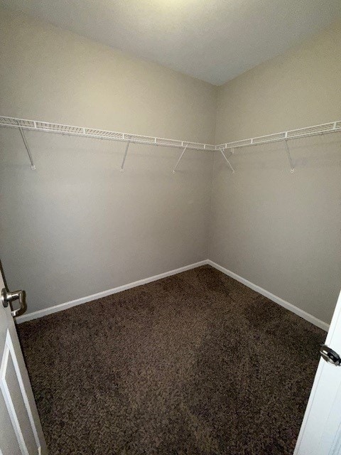 8307 Greenbridge Ct, Joliet, IL 60431 - walk in closet featuring carpet