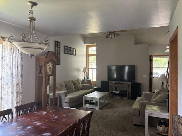 733 Cottonwood Cir, Genoa, IL 60135 - photo 3