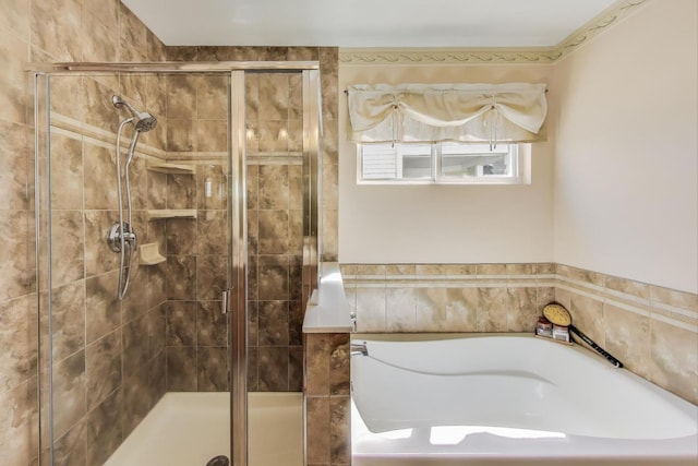 21436 W Larch Ct, Plainfield, IL 60544 - bathroom featuring a garden tub and a shower stall