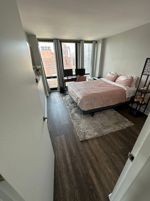 1 E Scott St Unit 1910, Chicago, IL 60610 - bedroom with dark wood-style floors