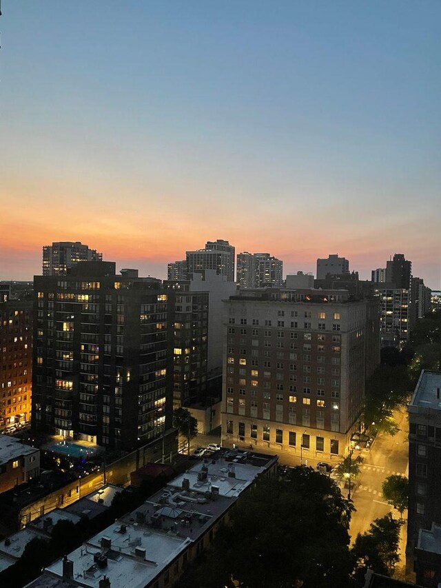 1 E Scott St Unit 1910, Chicago, IL 60610 - view of city