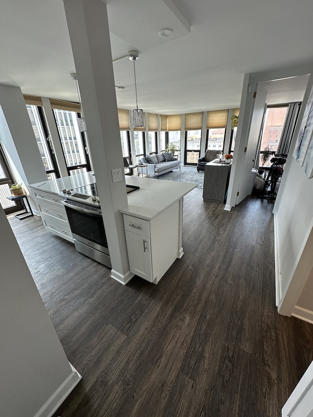1 E Scott St Unit 1910, Chicago, IL 60610 - kitchen featuring dark wood-style flooring, healthy amount of natural light, and open floor plan