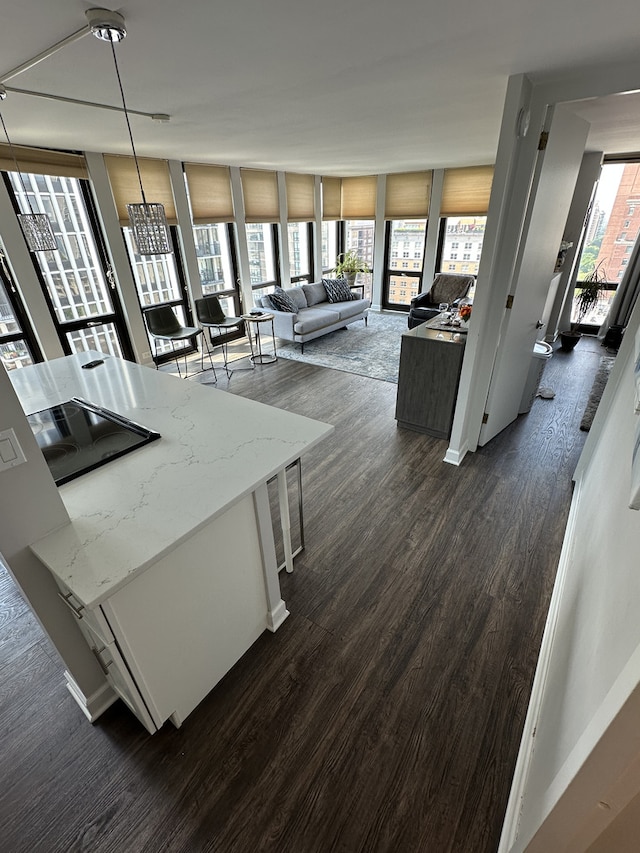 1 E Scott St Unit 1910, Chicago, IL 60610 - living room with dark wood-style flooring and floor to ceiling windows