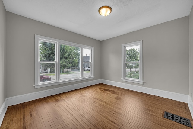 207 Iowa Ave, Joliet, IL 60433 - spare room with plenty of natural light, baseboards, and wood-type flooring