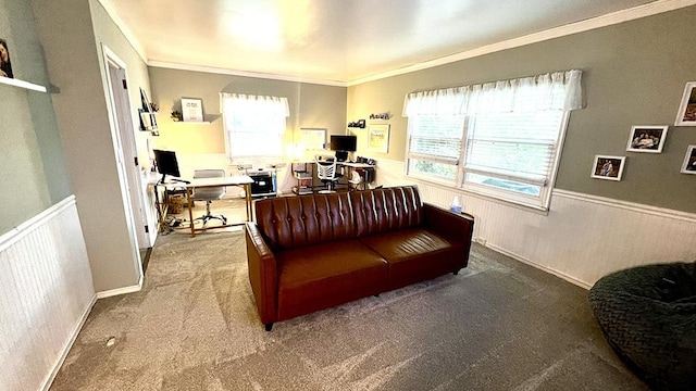 644 Genesee Ave, Morrison, IL 61270 - office area featuring carpet, wainscoting, and crown molding