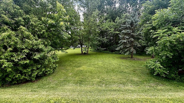 644 Genesee Ave, Morrison, IL 61270 - view of green lawn