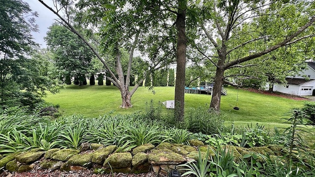 644 Genesee Ave, Morrison, IL 61270 - view of green lawn