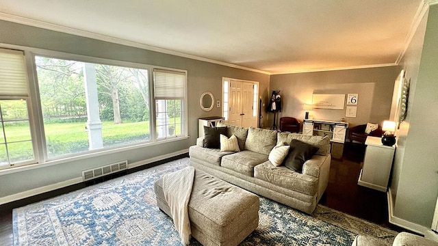 644 Genesee Ave, Morrison, IL 61270 - living room with wood finished floors and ornamental molding