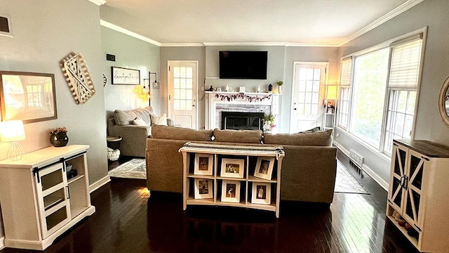 644 Genesee Ave, Morrison, IL 61270 - living room featuring crown molding, dark wood-style floors, and a fireplace