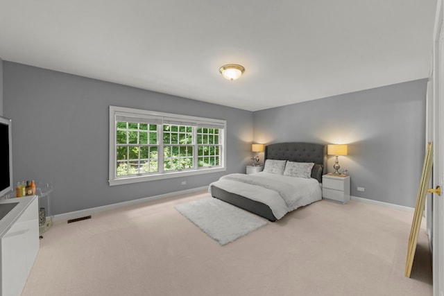 3013 Fox Glen Ct, Saint Charles, IL 60174 - photo 31