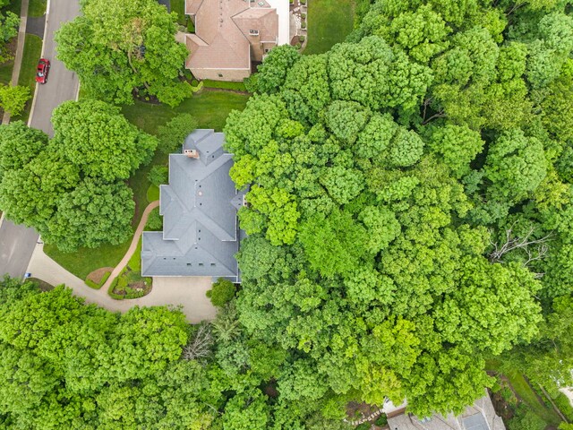 3013 Fox Glen Ct, Saint Charles, IL 60174 - photo 47