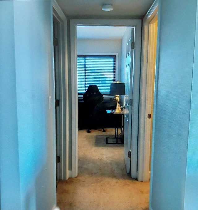 407 N Franklin Ave Unit 5F, River Forest, IL 60305 - corridor with carpet flooring and an office area