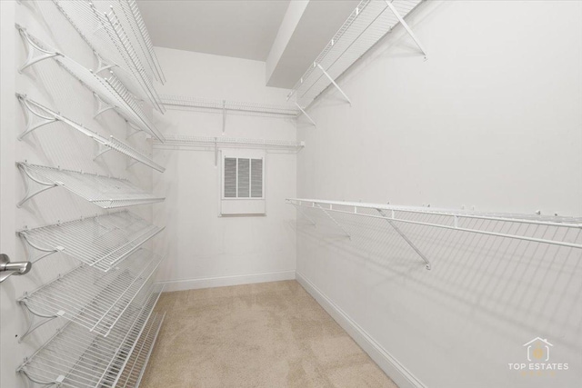 435 W Wood St Unit 410A, Palatine, IL 60067 - spacious closet with carpet
