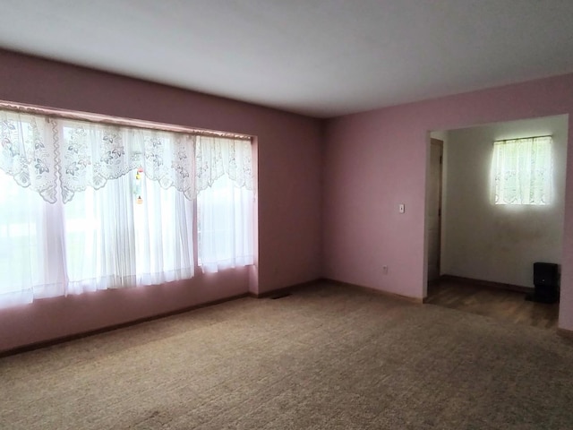 303 Lamplighter Loop, Poplar Grove, IL 61065 - spare room featuring plenty of natural light and carpet floors