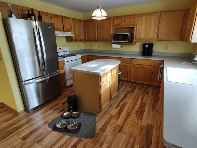 303 Lamplighter Loop, Poplar Grove, IL 61065 - kitchen featuring stainless steel appliances, under cabinet range hood, light wood-style floors, light countertops, and a center island