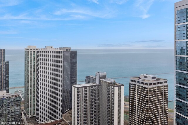 225 N Columbus Dr Unit 5512, Chicago, IL 60601 - photo 16