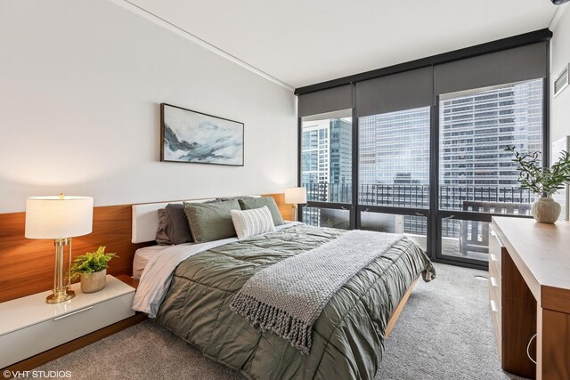 225 N Columbus Dr Unit 5512, Chicago, IL 60601 - photo 10