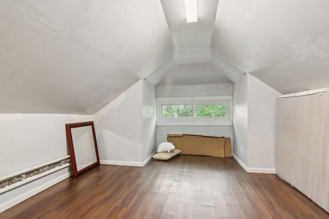 8136 S Manistee Ave, Chicago, IL 60617 - bonus room featuring dark wood-style flooring, lofted ceiling, and a baseboard radiator