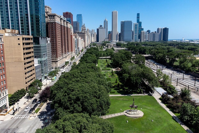 910 S Michigan Ave Unit 1411, Chicago, IL 60605 - skyline view