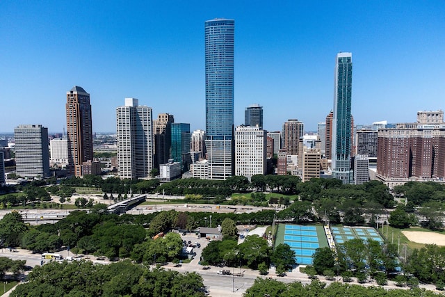 910 S Michigan Ave Unit 1411, Chicago, IL 60605 - view of city skyline