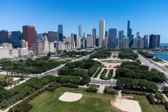 910 S Michigan Ave Unit 1411, Chicago, IL 60605 - view of city skyline