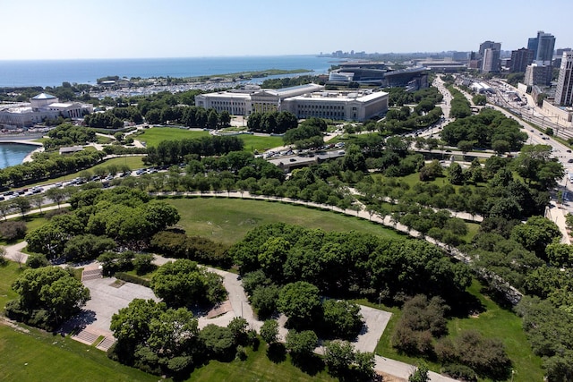 910 S Michigan Ave Unit 1411, Chicago, IL 60605 - view of urban area featuring a large body of water and a tree filled landscape