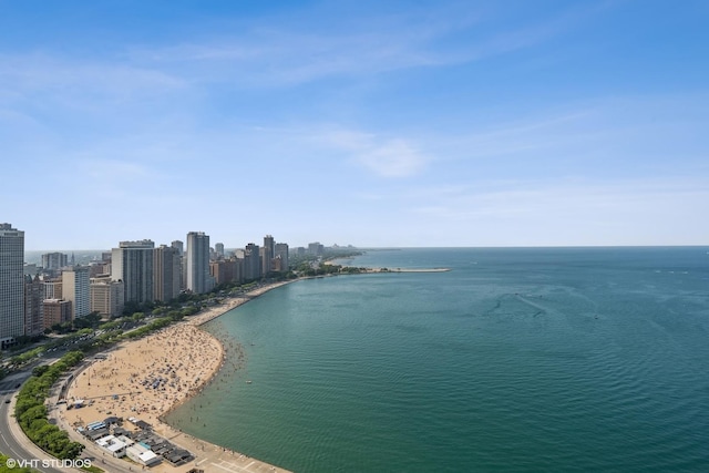 990 N Lake Shore Dr Unit 10A, Chicago, IL 60611 - water view with city skyline