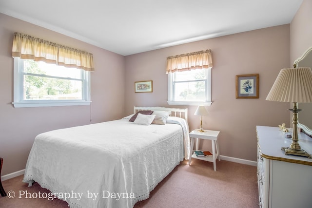 527 Edwin Dr, Bourbonnais, IL 60914 - bedroom featuring light colored carpet and baseboards