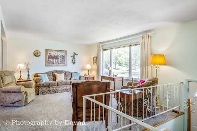 527 Edwin Dr, Bourbonnais, IL 60914 - living area featuring carpet