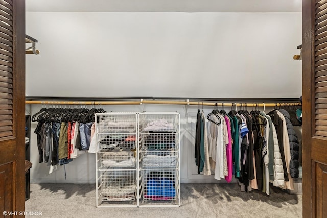 7229 W Lunt Ave, Chicago, IL 60631 - view of closet