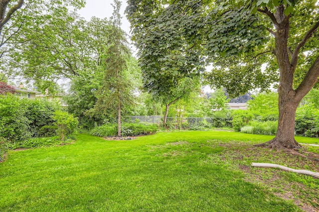 907 E Crabtree Dr, Arlington Heights, IL 60004 - view of yard