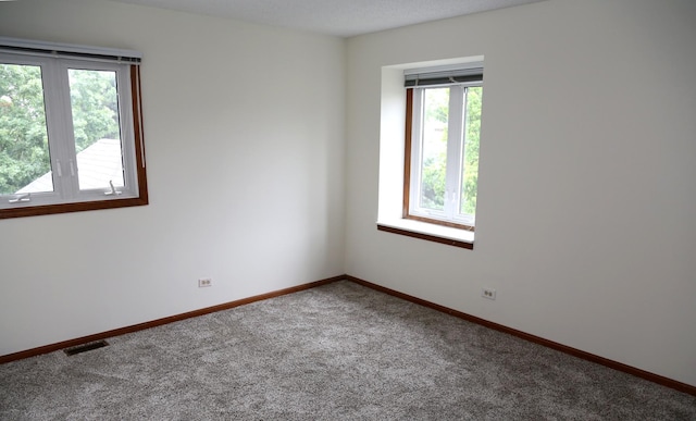402 Catbird Ln, Deerfield, IL 60015 - spare room featuring healthy amount of natural light and carpet