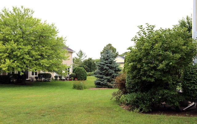 402 Catbird Ln, Deerfield, IL 60015 - view of green lawn