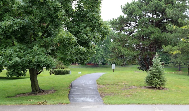 402 Catbird Ln, Deerfield, IL 60015 - view of property's community featuring a yard