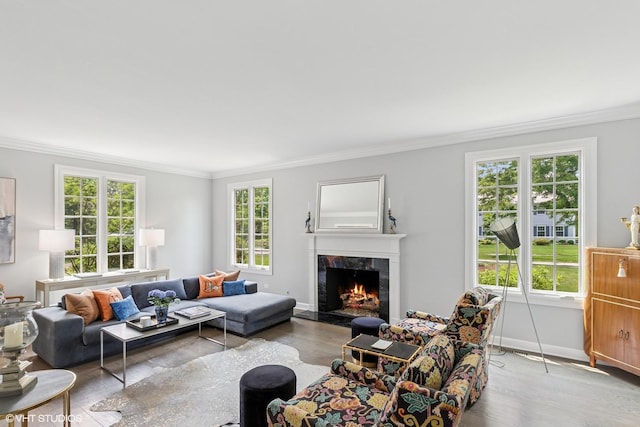 31 E Sandpiper Ln, Lake Forest, IL 60045 - living area with crown molding, a premium fireplace, and wood finished floors