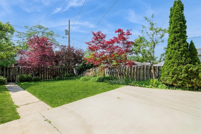 1718 Hovland Ct, Evanston, IL 60201 - fenced backyard with a patio