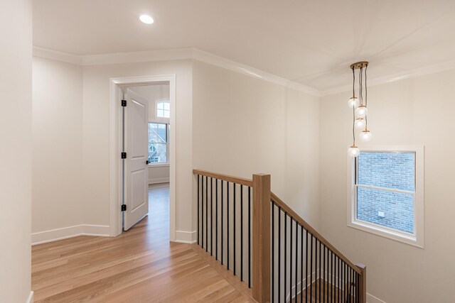 508 W Alma St, Elmhurst, IL 60126 - photo 21