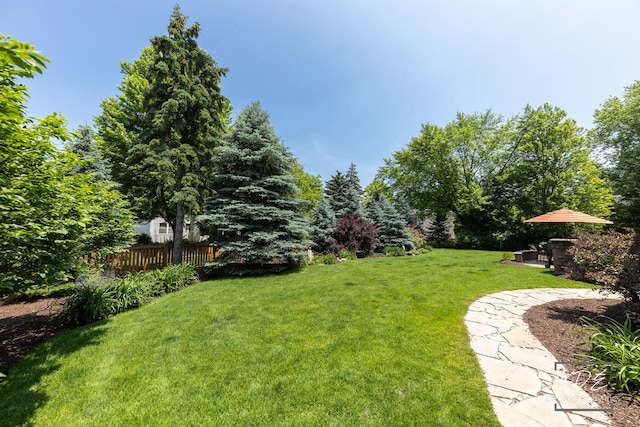 1012 Kennesaw Ct, Naperville, IL 60540 - view of yard