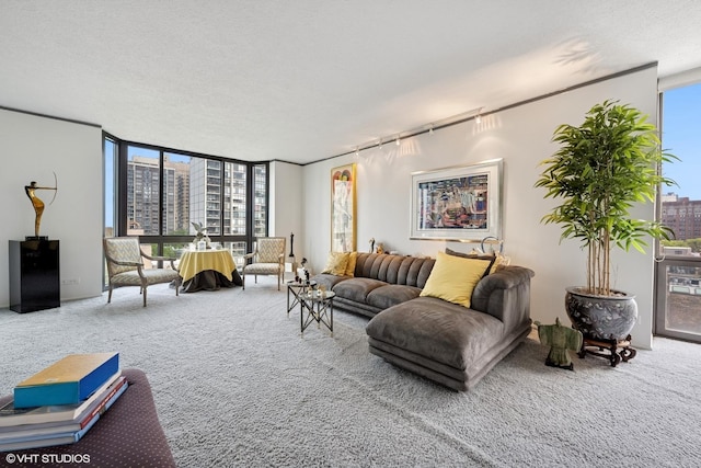 1530 N Dearborn Pkwy Unit 9S, Chicago, IL 60610 - living area featuring carpet flooring, expansive windows, and a city view