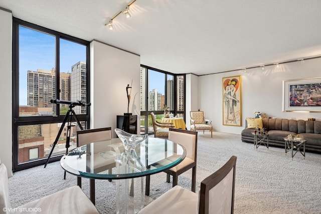 1530 N Dearborn Pkwy Unit 9S, Chicago, IL 60610 - carpeted living area featuring rail lighting, a view of city, and a wall of windows